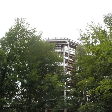 Modern In Near The Forest *